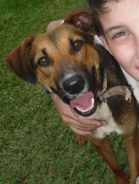 Cachorro raça vira lata idade 7 a 11 meses nome piaba