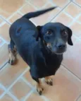 Pretona
