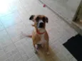 TUCA