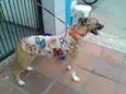 TUCA