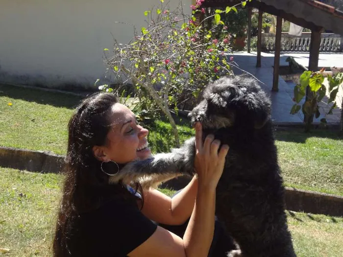 Cachorro ra a Mix de poodle idade 1 ano nome Simba