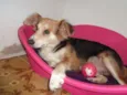 Mimi