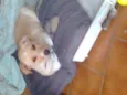 SUSY