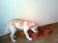 SUSY