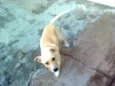 SUSY