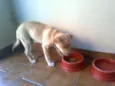 SUSY