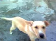 SUSY