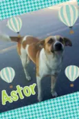 ASTOR