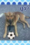 UGO