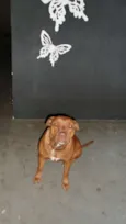 MEL