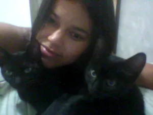 Gato raça srd idade 7 a 11 meses nome cacau