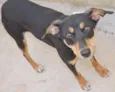 NINA