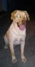 Sebastião