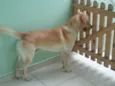 Sebastião