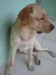 Sebastião