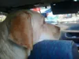 Sebastião