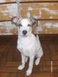 billy