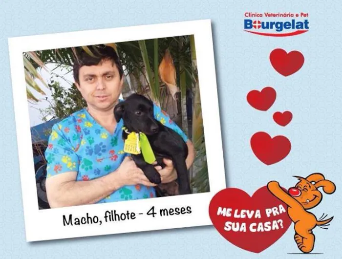 Cachorro ra a SRD idade  nome Filhote