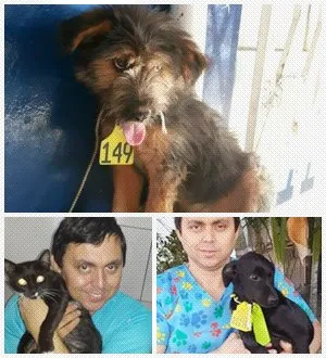 Cachorro raça DV idade  nome Vários filhotinhos