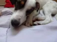 Nina