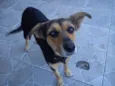 LUA