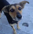 LUA