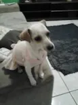 Não sei