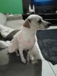 Não sei