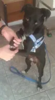 Leia Por favor!