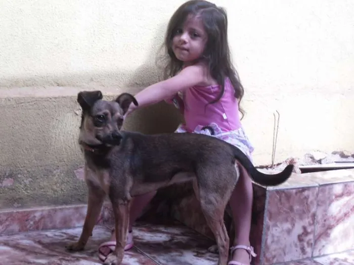 Cachorro ra a mestiça idade  nome Kiara