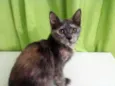 Esther