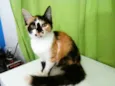 Princesa