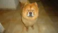 Não Sabemos