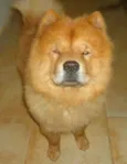 Não Sabemos