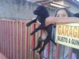 vc escolhe