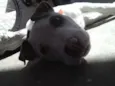 brian