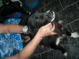 Billy, Mel, Nega