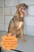 Beni - um menino fofo!