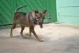 Beni - um menino fofo!