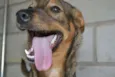 Beni - um menino fofo!