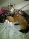 Susi,Samara, Sol, S