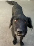 Bêne