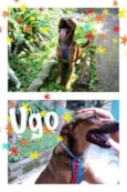 UGO