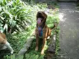 UGO