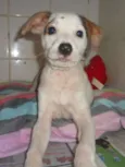 Chiquitita