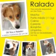Ralado