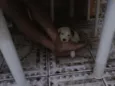 não tem 