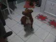 Linda
