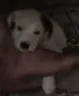 não tem 