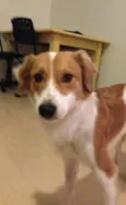 Ralado